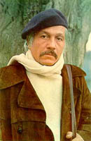 Михай Волонтир