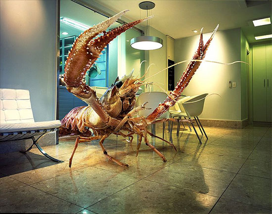 kitchen_lobster_.jpg