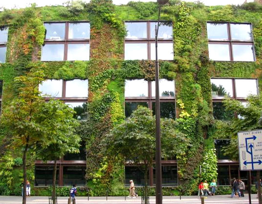 здание с зелеными стенами