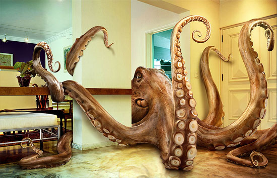 kitchen_octopus_.jpg