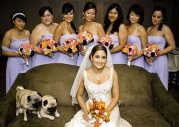 смешные фото свадеб.jpg