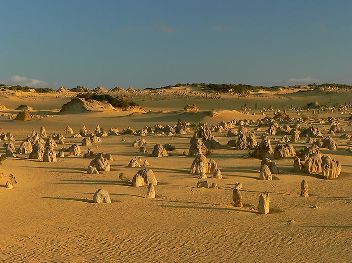 Пустыня Пиннаклс и её причудливые столбы, Австралия.jpg