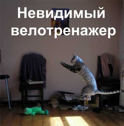 Коты и невидимые предметы91.jpg