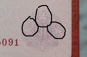 Нижегородцу в паспорте видится «666»