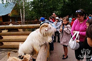 В зоопарке «Лимпопо» откроется  «Южная Америка»