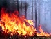 До 38 очагов возросло число природных пожаров в Сибири, огнем охвачено 917,3 га лесов 