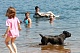 Открытие нижегородских пляжей ожидается 1 июня (ФОТО)