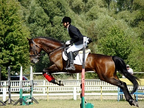 В Нижнем пройдет этап кубка мира по верховой езде