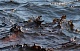 В бухте Золотой Рог во Владивостоке произошел аварийный разлив нефтепродуктов