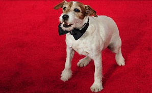 В Голливуде состоялась дебютная церемония вручения кинопремий для собак.