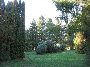 Ботанический сад ННГУ им. Н. И. Лобачевского