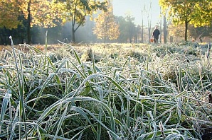Заморозки ожидаются в эти выходные в Нижегородской области
