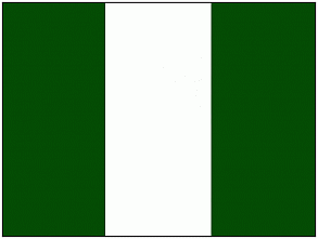 В Нигерии более 32 человек сгорели заживо при лобовом столкновении автобусов