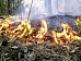 В Забайкалье продолжает гореть более восьми тысяч гектаров леса