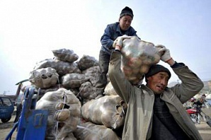 Трое мужчин погибли, спустившись в погреб