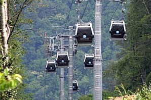 Для инвалидов организуют поездку по канатной дороге