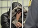 Родители убитой в Брянске 9-месячной девочки признаны вменяемыми