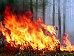 В ряде районов Нижегородской области объявлен пожароопасный сезон