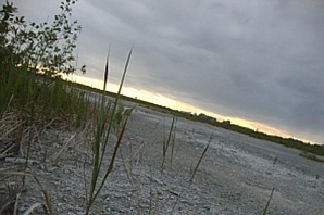 На месте «Белого моря» в Дзержинске появится футбольное поле