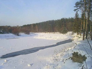 7-летний мальчик пропал в Нижегородской области