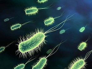 На дне тихого океана обнаружили самых медленных бактерий