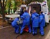 Собака спасла детей в Калининграде, заслонив от гранаты: пять подростков госпитализированы 