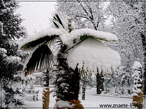 В Африке начались холода