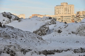 На свалке под Нижним Новгородом найдены фрагменты тел